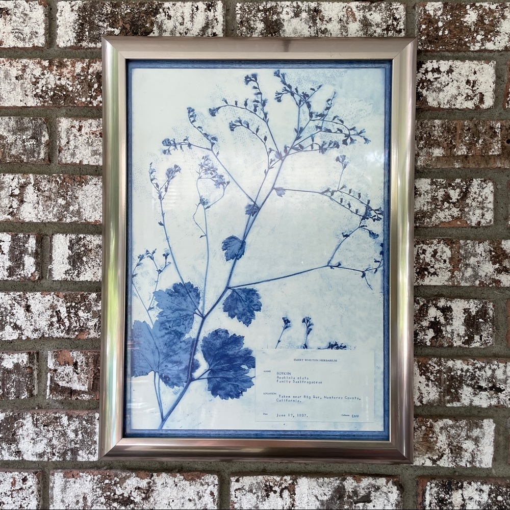 Blue and White Modern Classic Botanical Flower Framed Wall Art Of BOYKIN FLOWER